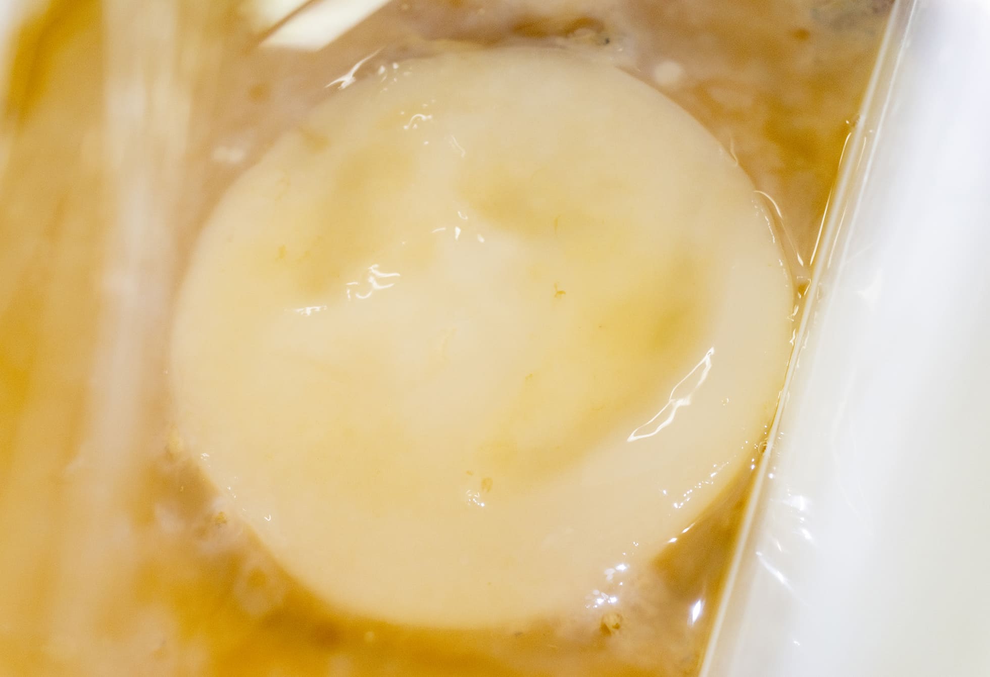 Bogotá, Utadeo. Celulosa bacteriana