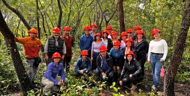 Profesores e investigadores en salida de campo de análisis de reforestaciones