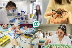 Estudiantes de diferentes programas de la facultad de Ciencias Naturales e Ingeniería de Utadeo